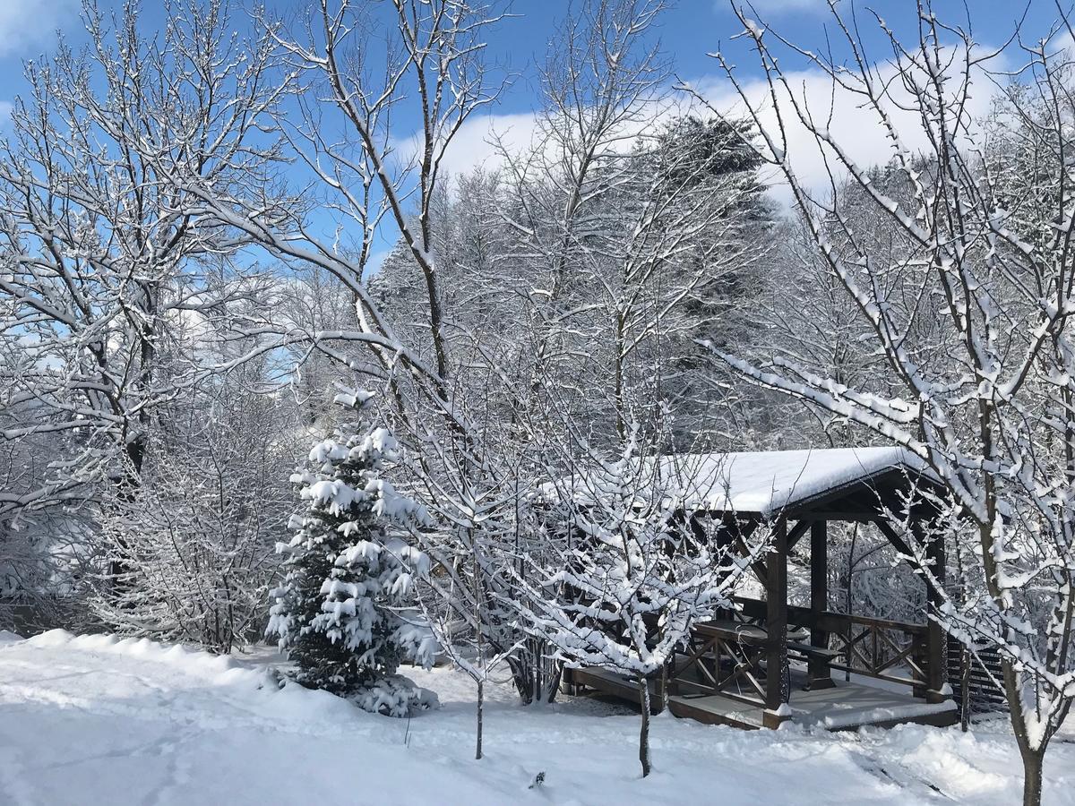 Gallery Of Mountains Holiday Home 亚西尼亚 外观 照片