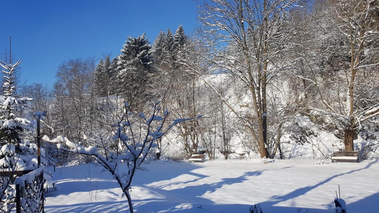 Gallery Of Mountains Holiday Home 亚西尼亚 外观 照片